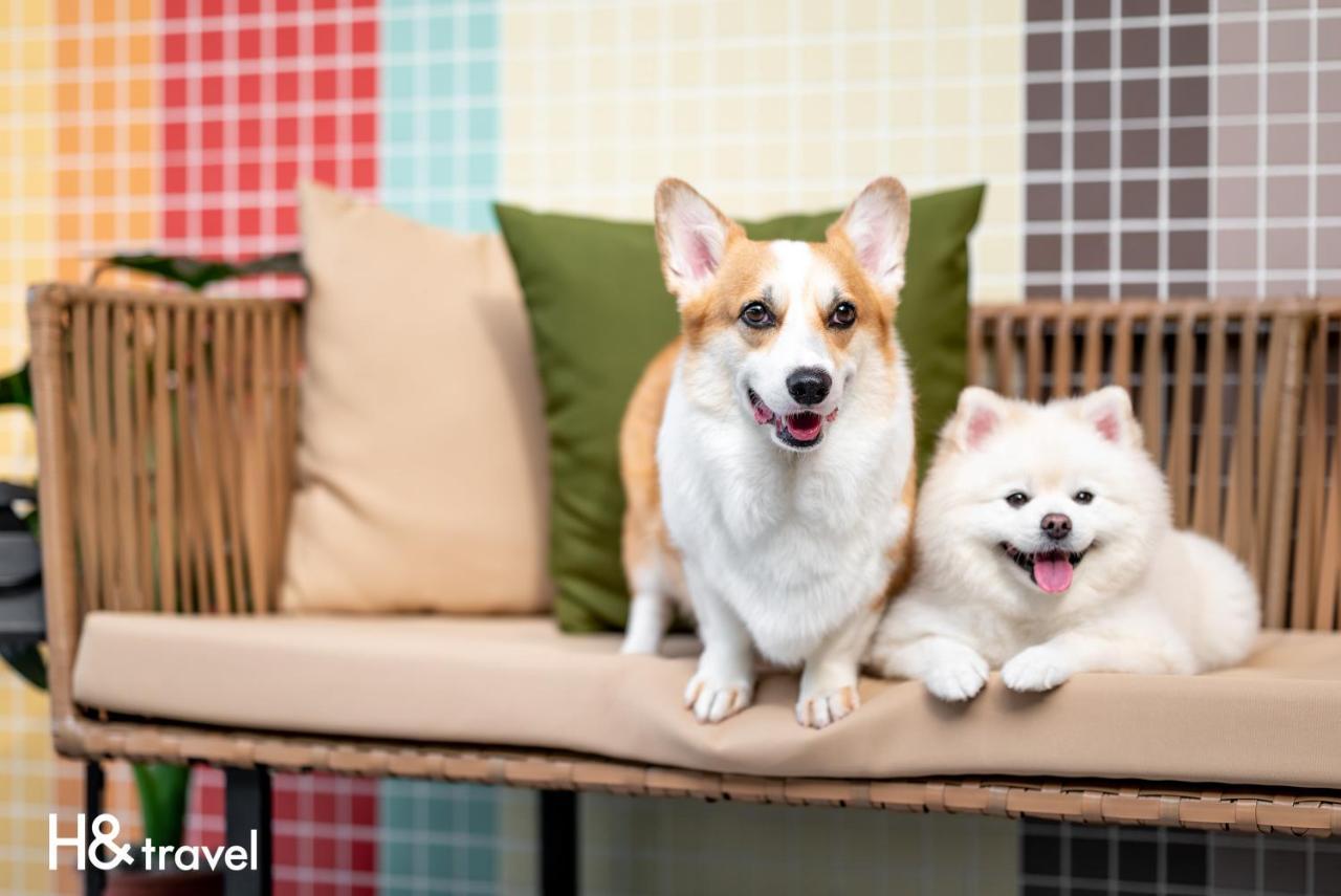 Taitung Rainbow Pet Friendly Maison Resort Exterior photo
