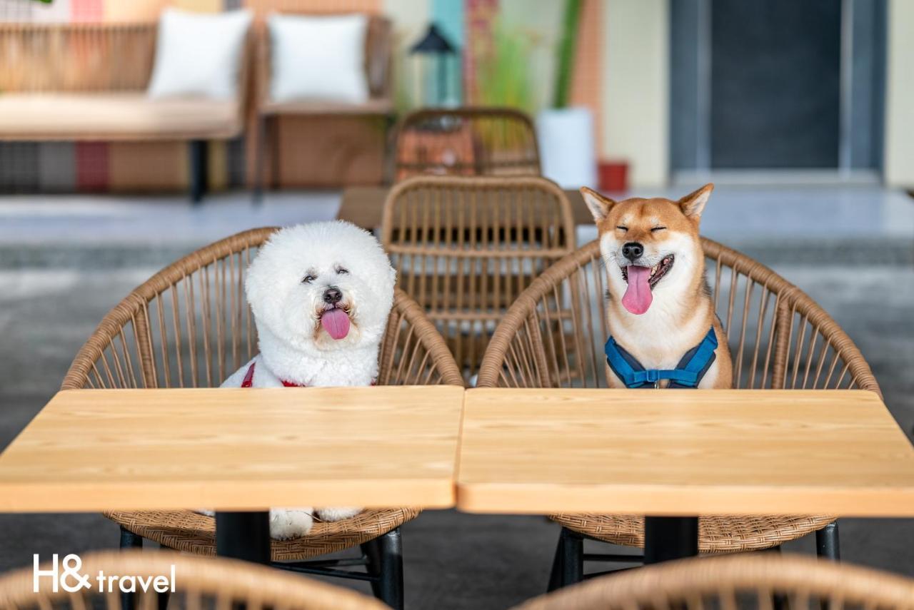 Taitung Rainbow Pet Friendly Maison Resort Exterior photo