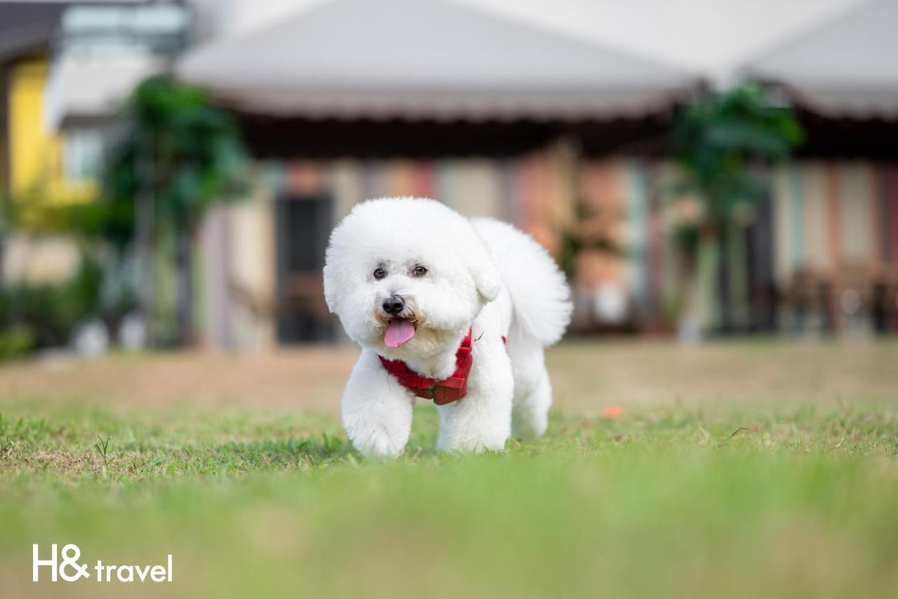 Taitung Rainbow Pet Friendly Maison Resort Exterior photo
