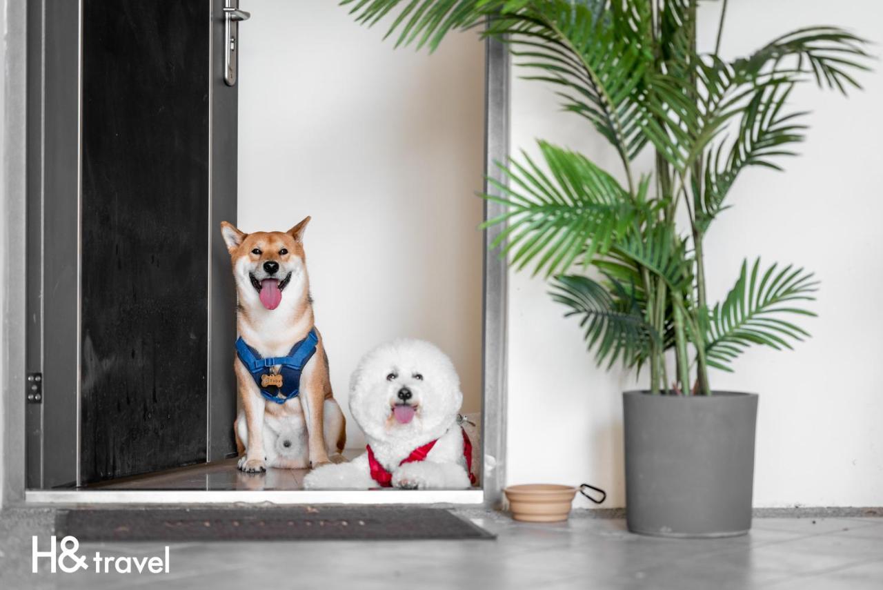 Taitung Rainbow Pet Friendly Maison Resort Exterior photo